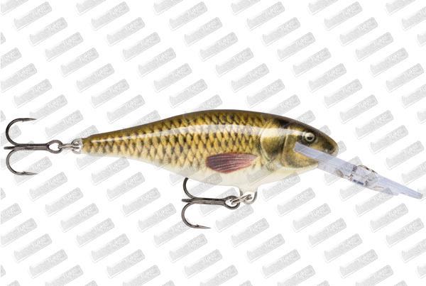 Rapala SR09 CARP