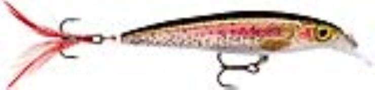 Rapala XR04 RTL