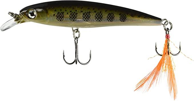 Rapala XR10 MD